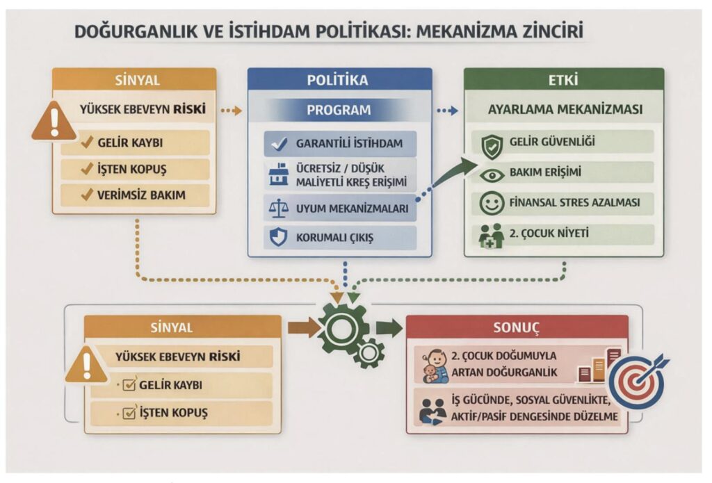 Doğurganlik ve İstihdam Politikasi 002209591