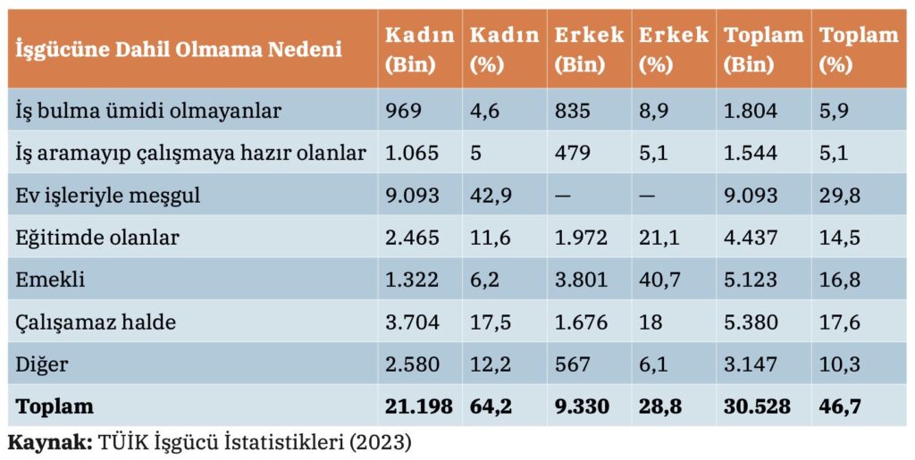 İşgücüne Dahil Olmama Nedenleri 002209466