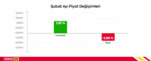Reel ve nominal fiyat degisimi.jpg