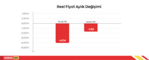 Reel fiyat aylik degisim.jpg