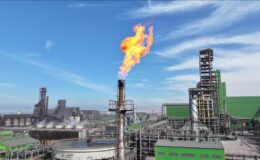 Yeşil çelik üretimiyle küresel büyümemizi sürdüreceğiz