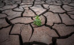 Su krizi insanlığı tehdit ediyor