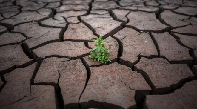 Su krizi insanlığı tehdit ediyor