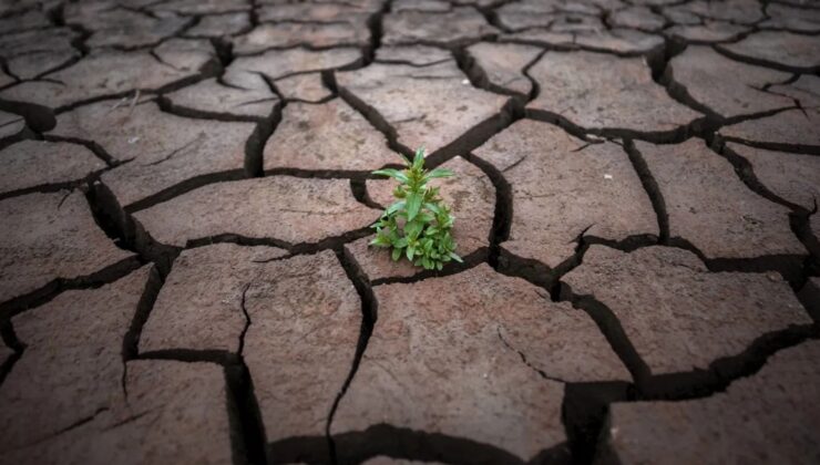 Su krizi insanlığı tehdit ediyor