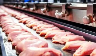 İhracat serbest kaldı, tavuk fiyatları yükseldi