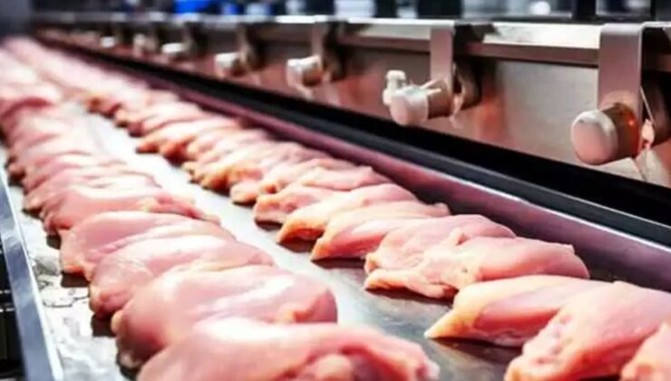 İhracat serbest kaldı, tavuk fiyatları yükseldi