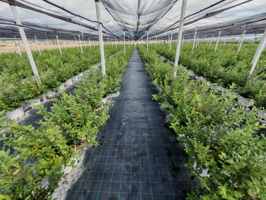 WhatsApp Image 2026 03 27 at 14.16.25 1