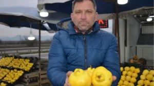 ayaz vurdu fiyatlar firladi ayvayi yemek eskisi kadar kolay degil 3288941