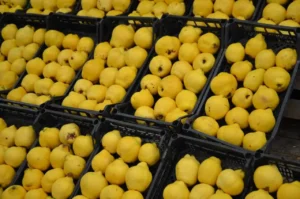 ayaz vurdu fiyatlar firladi ayvayi yemek eskisi kadar kolay degil 3288941 202603181403 3