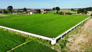 bafra ovasina 24 milyar liralik yatirim 2 ilce ve 14 mahalle faydalanacak 1777061 202603141113 20260314111337 2