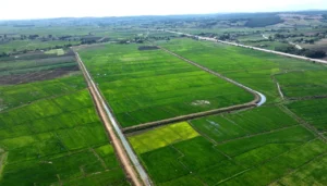 bafra ovasina 24 milyar liralik yatirim 2 ilce ve 14 mahalle faydalanacak 1777061 202603141113 20260314111337 3