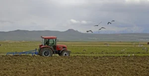 ciftcilere mujde 123 milyar liralik tarimsal destek odemesi icin tarih belli oldu 1775151 20260305195417