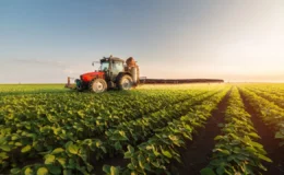 Tarımda girdi maliyetleri yükselişte: Ocakta yıllık artış yüzde 30,59 oldu