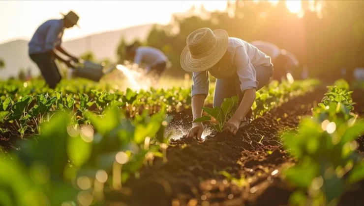 Hürmüz Boğazı’ndaki kriz gübre fiyatlarını uçurdu