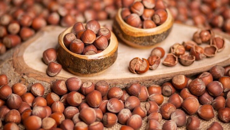 Türkiye’den iki ayda 388 milyon dolarlık fındık ihracatı