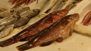 Hint Okyanusu'ndan Mersin tezgahlarına uzanan nadir lezzet: Kırmızı benekli lagos 5 hint okyanusundan turkiyeye tezgahta yerini aldi kilosu 700 lira 1775040 202603051113 20260305111314 4