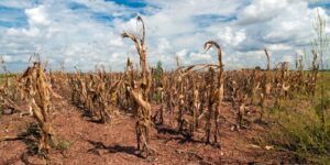 Dünya alarmda: Tarihin en büyük enerji krizi 4 iklim degisikligi