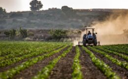 Tarım ÜFE’de dikkat çeken artış