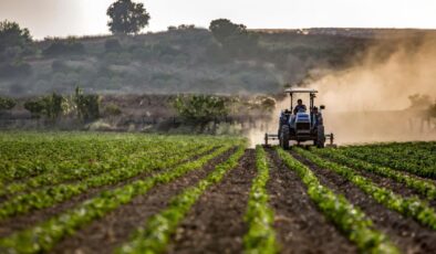 Tarım ÜFE’de dikkat çeken artış