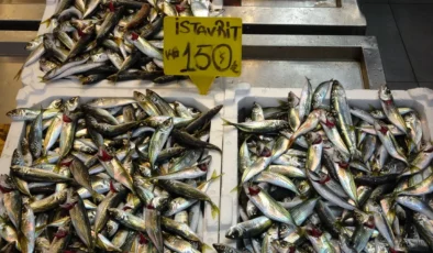 Tezgahlarda bayram mesaisi! En ucuz balık 150 liradan satılıyor