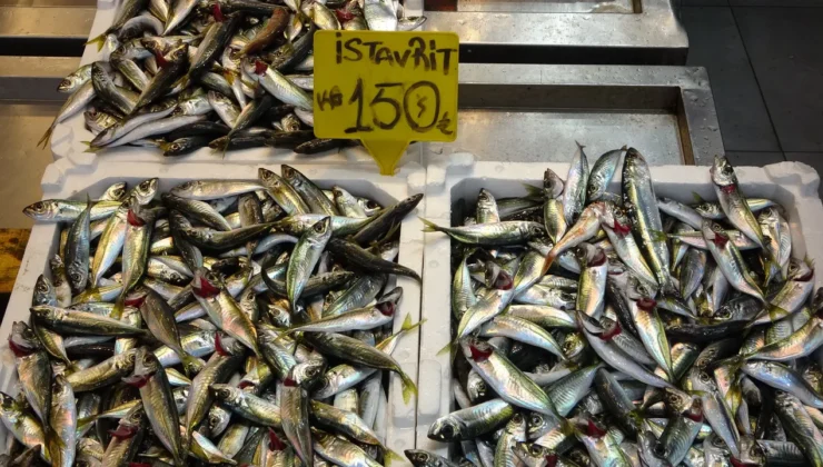 Tezgahlarda bayram mesaisi! En ucuz balık 150 liradan satılıyor