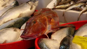 kilosu 150 tl iste tezgahlarin en ucuz baligi 1777974 202603181258 20260318125827 3