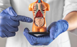 Erken teşhis hayat kurtarır: Kolorektal kanserde tarama kritik öneme sahip