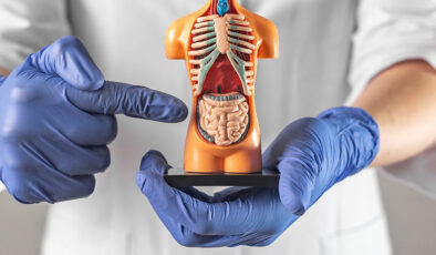 Erken teşhis hayat kurtarır: Kolorektal kanserde tarama kritik öneme sahip