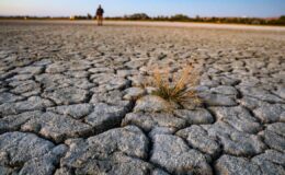 Su petrolden daha değerli olacak! Korkutan “Gıda Krizi” uyarısı