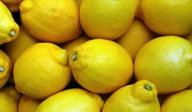 Limon fiyatlarına müdahale geldi gümrük vergisi yüzde 10 seviyesine çekildi