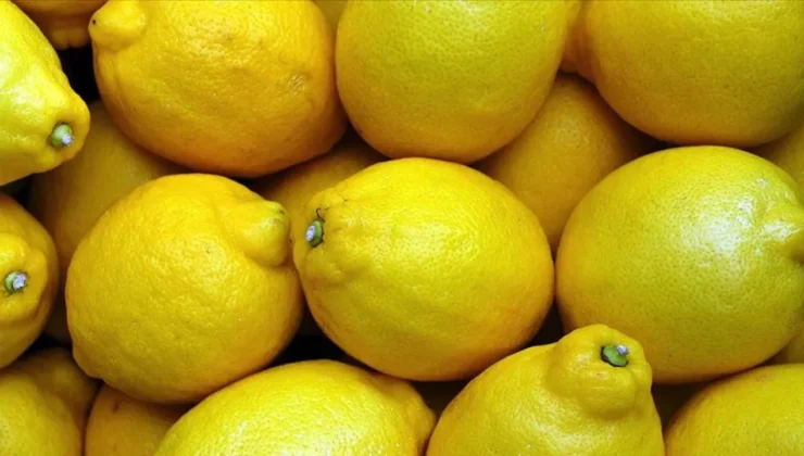 Limon fiyatlarına müdahale geldi gümrük vergisi yüzde 10 seviyesine çekildi