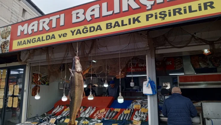 Karakaya Barajı’ndan dev turna çıktı! Tam 42 kilogram