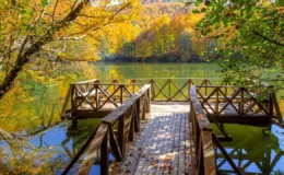 Ekosistem Koruma Kanunu yürürlüğe girdi: Yeni denetimler ve yaptırımlar yolda