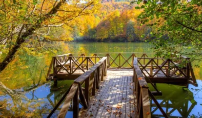 Ekosistem Koruma Kanunu yürürlüğe girdi: Yeni denetimler ve yaptırımlar yolda