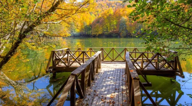 Ekosistem Koruma Kanunu yürürlüğe girdi: Yeni denetimler ve yaptırımlar yolda