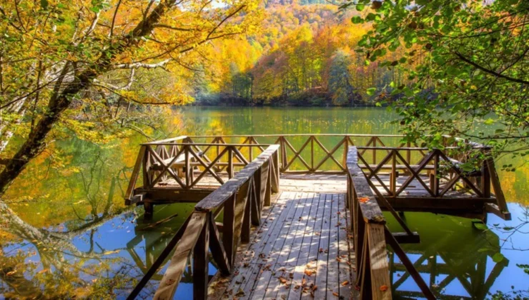 Ekosistem Koruma Kanunu yürürlüğe girdi: Yeni denetimler ve yaptırımlar yolda