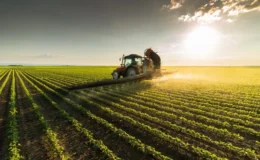 İşlenmeyen tarım arazileri üretime kazandırılacak