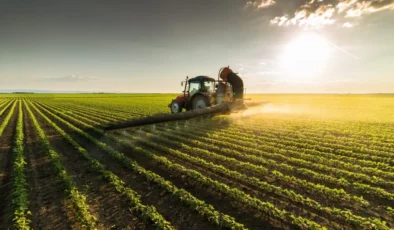 İşlenmeyen tarım arazileri üretime kazandırılacak