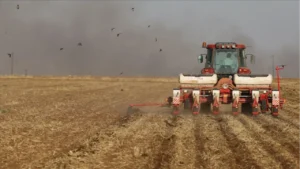 tarim gfe yillik yuzde 3059 artti 1777938 20260318103752