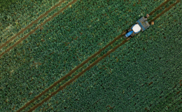 Hürmüz krizi gübre arzını vurdu