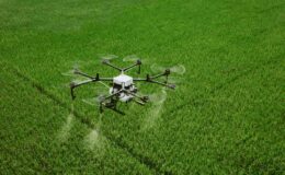 Akıllı tarım projelerine dev destek!