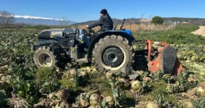 tarlada curuyor pazarda cep yakiyor tarimda carpici tablo 1779291 photogallery 20260324190329 1