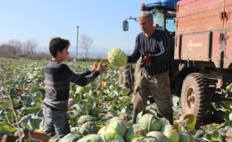 Tarlada 8 lira olan beyaz lahana market raflarında 100 liraya kadar çıktı