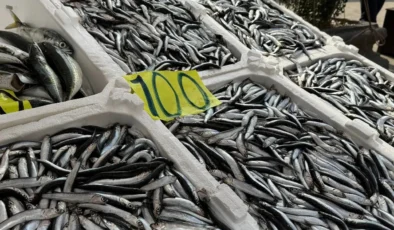 Tezgahlarda hamsi bereketi yaşanıyor