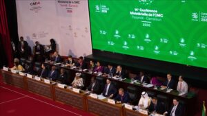 thumbs b c 01643aca5ccb508461bfbdce6423c1ba