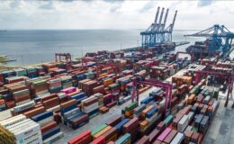 Gıda arzında Türkiye güvenli liman