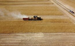 Çiftçinin hesabına 8,7 milyarlık cansuyu: Saat 18.00’de yatıyor