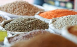 Güneydoğu’dan hububat ihracatı 552,8 milyon dolara ulaştı