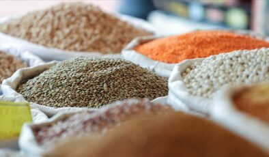 Güneydoğu’dan hububat ihracatı 552,8 milyon dolara ulaştı