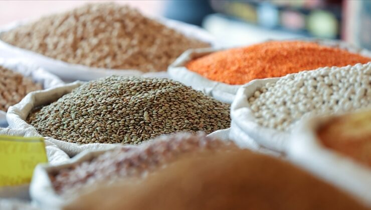 Güneydoğu’dan hububat ihracatı 552,8 milyon dolara ulaştı